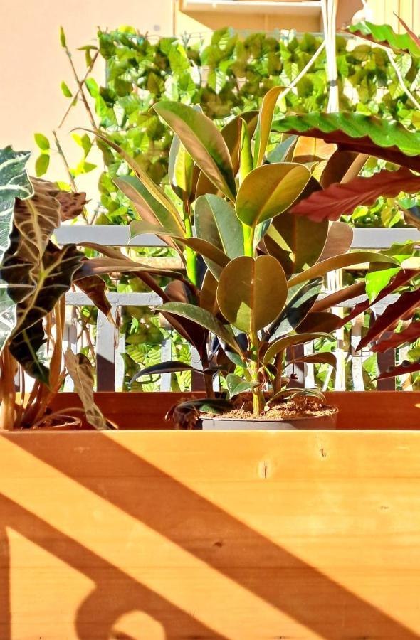 Le Case Di Ale - Holiday Homes Salerno Luaran gambar